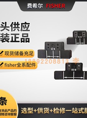 费希尔定位器DVC6200/DVC2000配Fisher磁条19/25/38/50/110/210mm