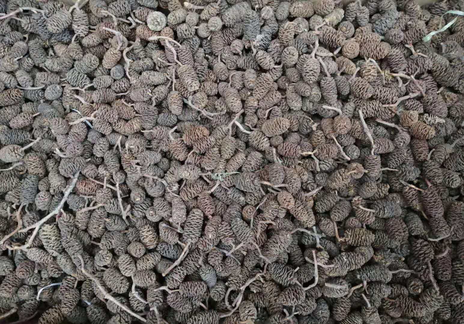 夜叉五倍子根付染料染色植物染草木染古法染色刀柄染色鹿角染料