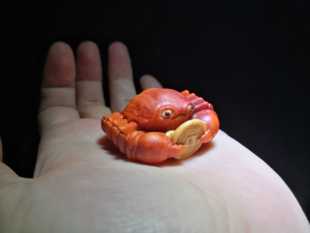 根付染料橘红1克单价3 20克起拿染色效果如图浓度自调夜叉五倍子