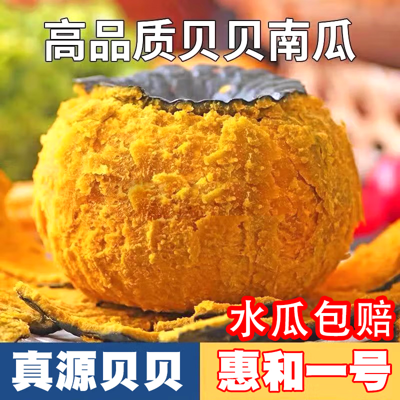 真贝贝小南瓜板栗味日本惠和一号粉糯香整箱正宗正品宝宝辅食新鲜