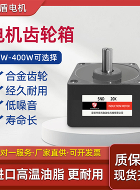 电机齿轮减速箱6W-400W电机2GN3GN4GN5GN5GU6GN6GU减速机