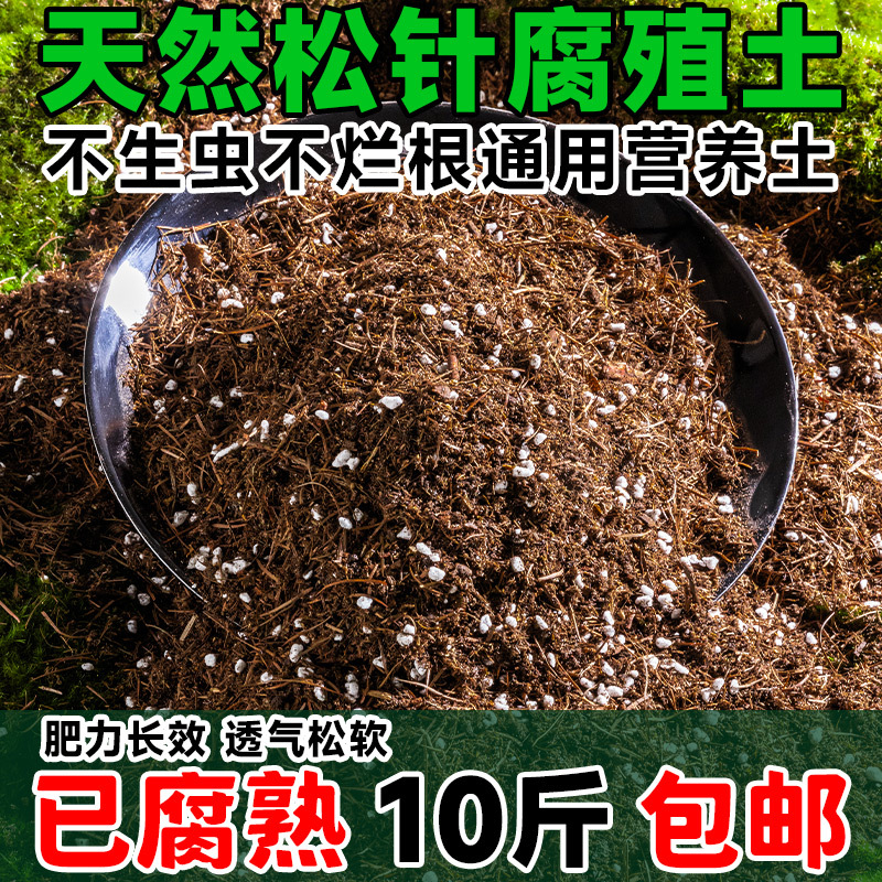 天然松针腐殖土通用型营养土花卉绿植种植土壤
