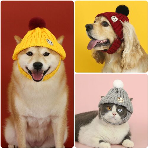 宠物针织毛线帽小灵缇短毛无毛猫咪小狗犬保暖秋冬露耳朵头套帽子