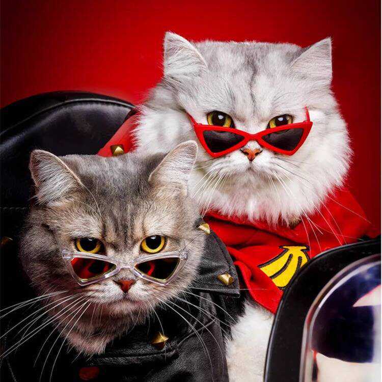 宠物眼镜可爱狗狗猫咪个性搞怪彩色眼镜配饰炫酷猫三角眼镜摆拍