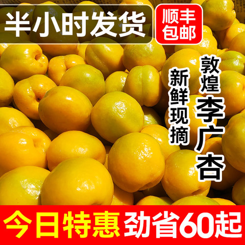 敦煌李广杏【今日特惠】限时省60