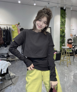 洋气百搭长袖 拼接假两件t恤女时尚 套头上衣潮 新款 欧洲站2026春季