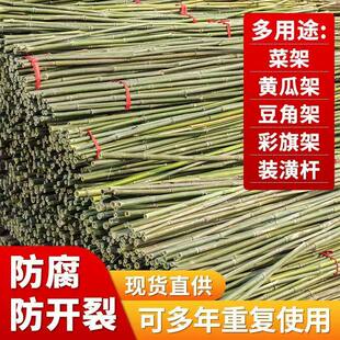 竹竿菜园搭架豆角爬藤架篱笆围栏棋杆竹竿竹子爬藤支架小竹竿清仓
