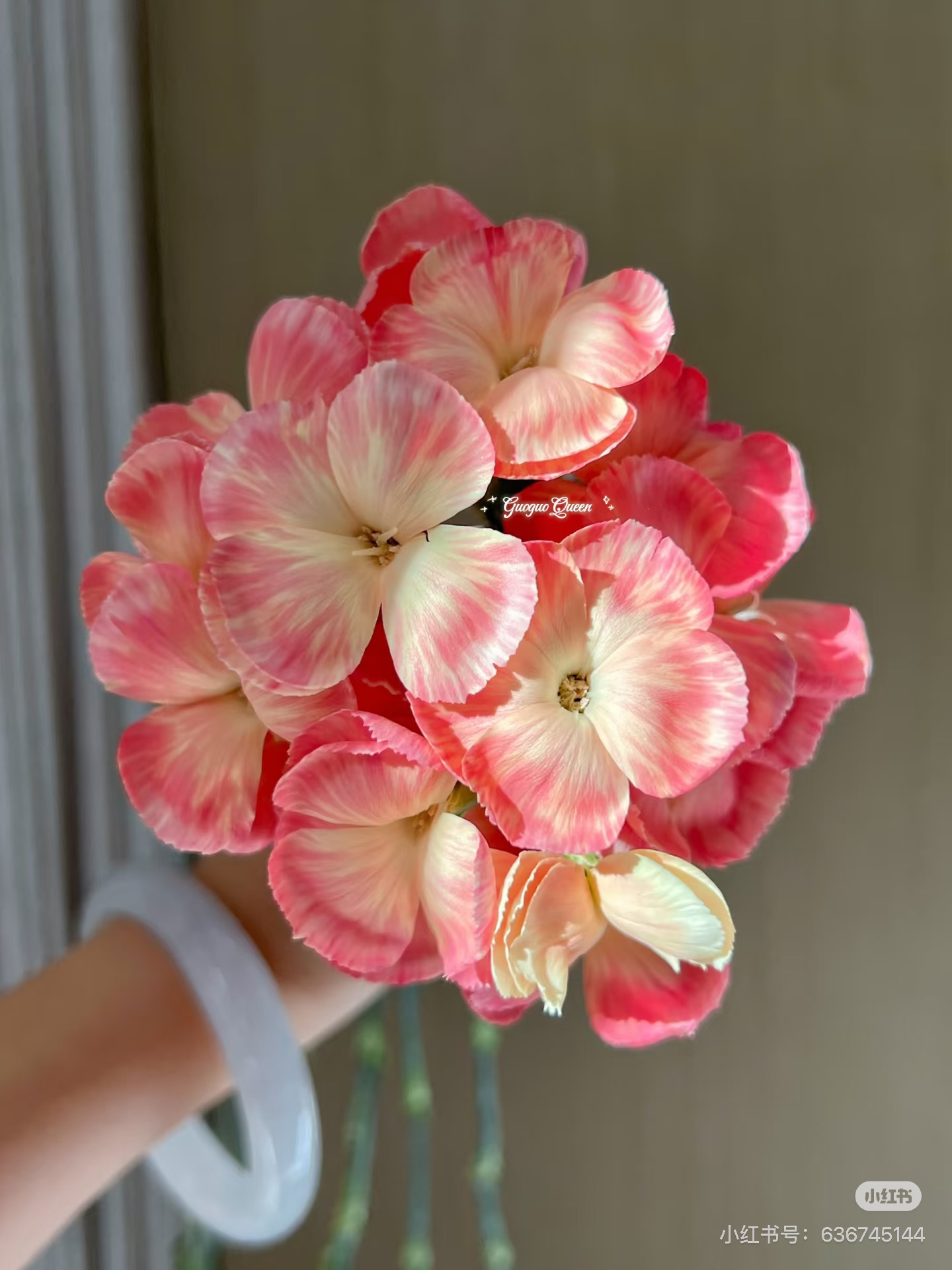 必拍）稀有色。多头康乃馨18-20支 可可桃 需要拍邮费