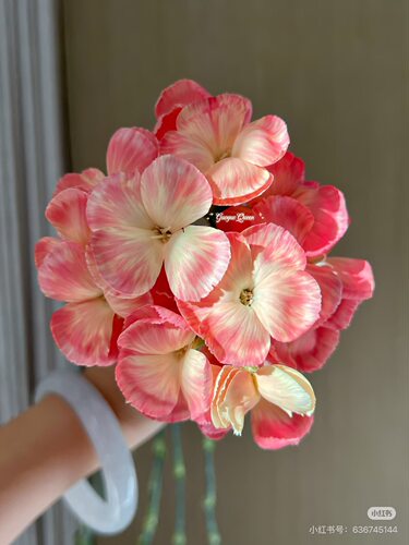 必拍）稀有色。多头康乃馨18-20支 可可桃 【不包邮需要拍邮费