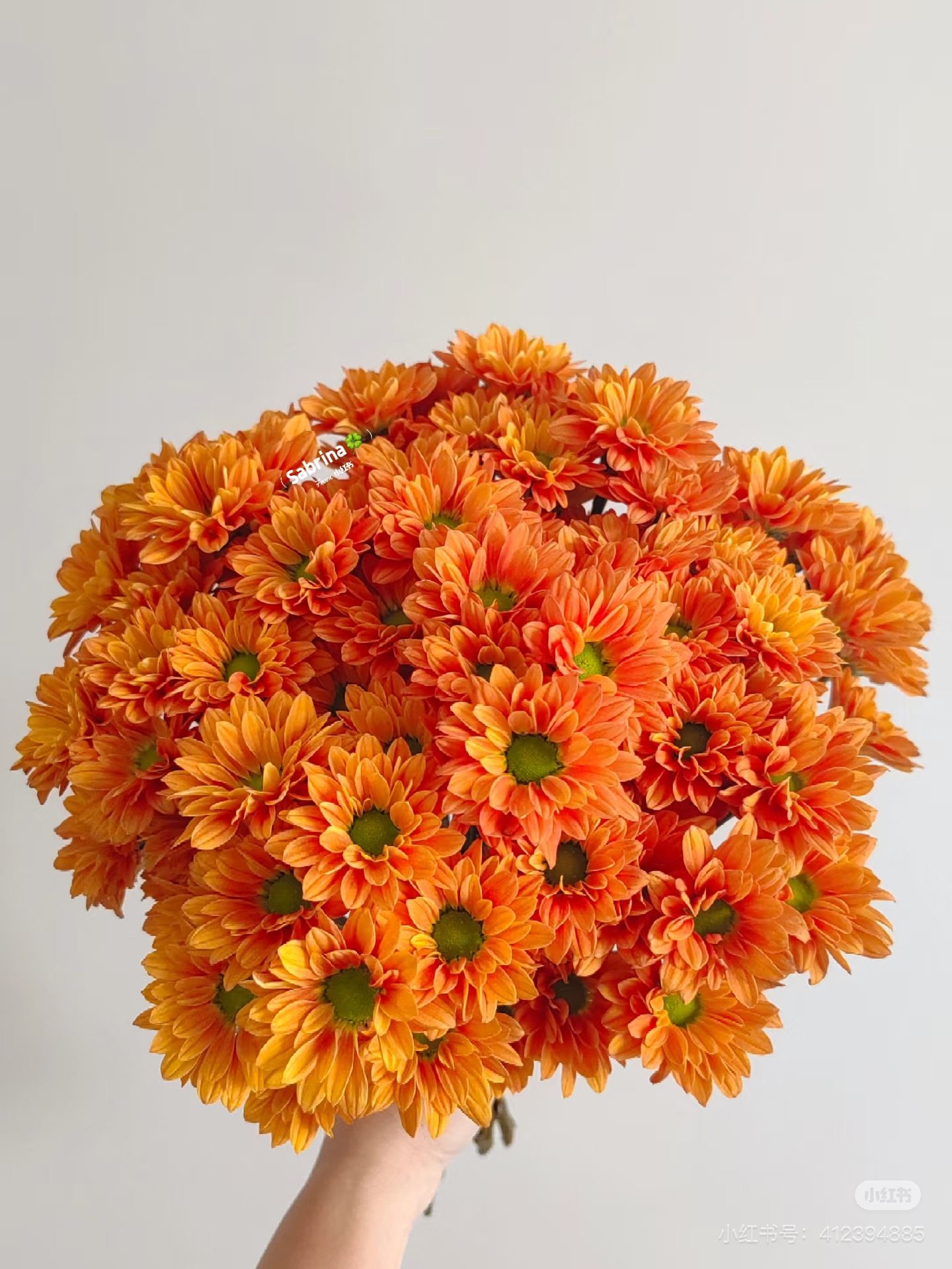 橘子汽水小菊10支 需要拍邮费