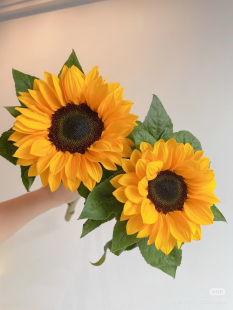 需要拍邮费 包邮 向日葵5支 不