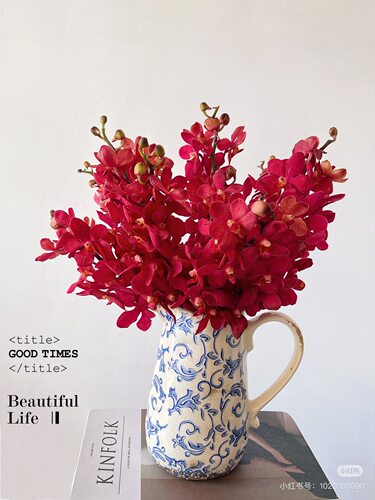 泰国千代兰8-10支。红色 【不包邮需要拍邮费