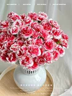 多头康乃馨18-20只。天空。需要拍邮费