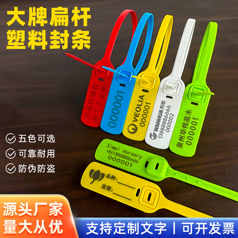 一次性防伪锁扣封车签
