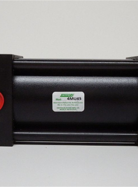 DAYTON SPEEDAIRE气缸 过滤器 压力调节器 过滤调节器