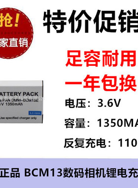 适用于松下DMW-BCM13E电池 反复充电1100次 数码摄像机 带保护板