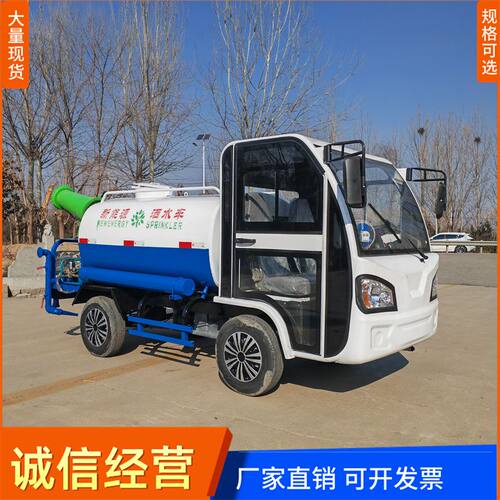 电动三轮洒水车工地用多功能新能源雾炮小型消绿化睡吧水泡车