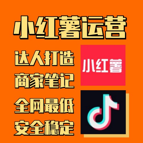 小红xhs曝光流量笔记推广内容策划达人到店1V1指导合作
