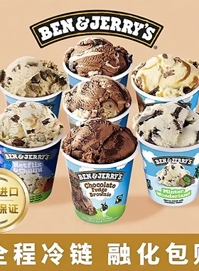 Ben&Jerry's本杰瑞巧克力布朗尼原装进口冰淇凌薄荷巧克力冰淇淋