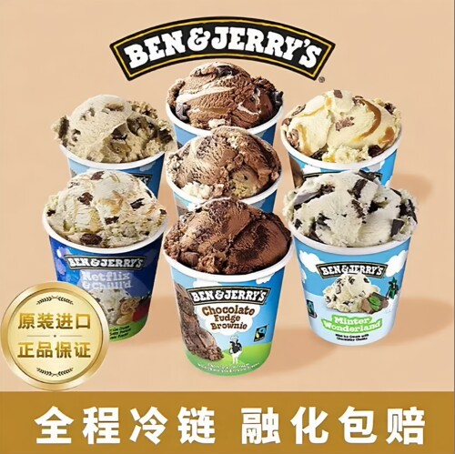 Ben&Jerry's本杰瑞巧克力布朗尼原装进口冰淇凌薄荷巧克力冰淇淋
