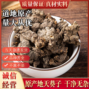 天葵子中药材野生千年老鼠屎紫背天葵根金耗子屎250g克散血珠根