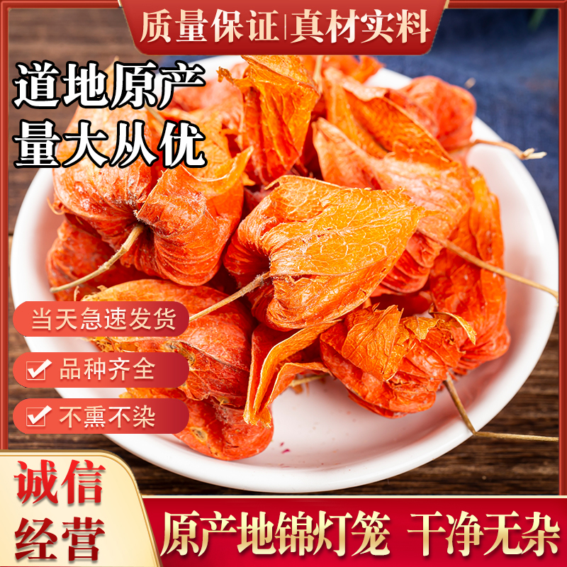 新鲜新款上市野生中药材 锦灯笼 红姑娘果干皮红苦菇娘挂金灯