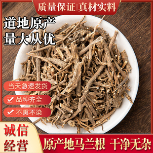 中药材马兰根马兰头根干天然药材田边菊 路边菊 蓑衣草500克