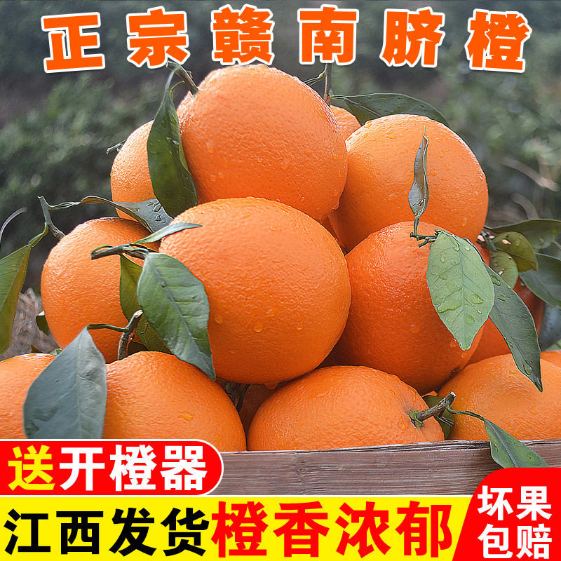 赣南脐橙官方旗舰店正宗产地直发