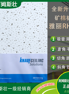 阿姆斯壮矿棉板雅丽防潮吸音600x600办公室吊顶天花板毛毛虫W1591