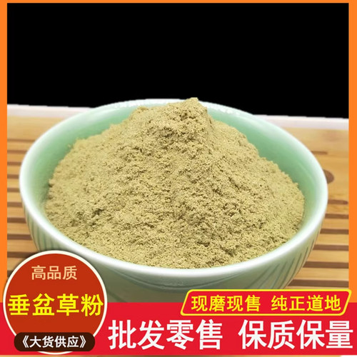 垂盆草粉中药材500g干货泡茶