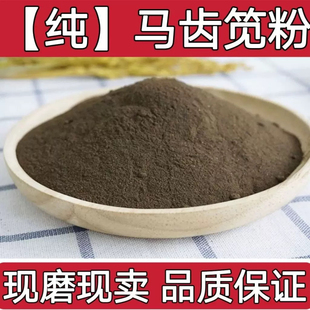 马齿苋粉中药材超细粉食用药用马齿苋菜干马齿草长命菜草药