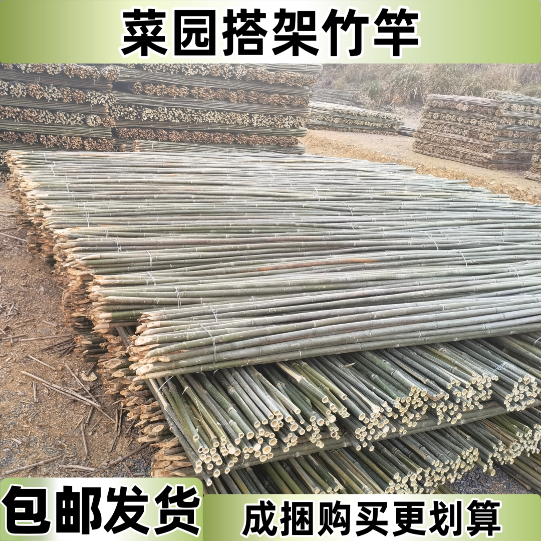 竹竿菜园搭架豆角黄瓜番茄百香果爬藤架篱笆围栏栅栏旗杆新品包邮