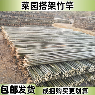 竹竿菜园搭架豆角黄瓜番茄百香果爬藤架篱笆围栏栅栏旗杆新品包邮