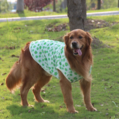 Chongtapet透气不粘毛中大型犬背心萨摩耶金毛秋季 薄款 衣服掉毛期