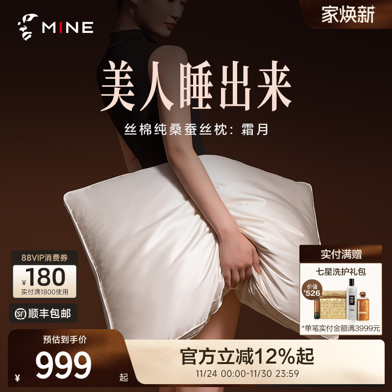 MINE/寐高级丝棉100%桑蚕丝枕头透气家用单人枕四季蚕丝枕芯 霜月