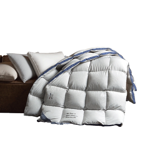 MINE/寐法国进口95白鹅绒被四季通用被子被芯羽绒被送礼 无痕Ⅲ