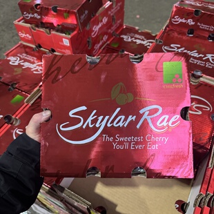 黑天鹅斯凯拉雷Skylar Rae黄樱桃智利金车厘子JJJ级新鲜脆甜多汁