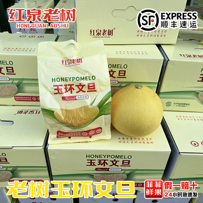 红泉老树玉环文旦老树蜜柚2颗起礼盒装当季热卖新鲜孕妇水果包邮