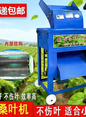 桑叶切叶机电动家用切桑叶机养蚕专用碎桑机小型桑叶切条碎片丝