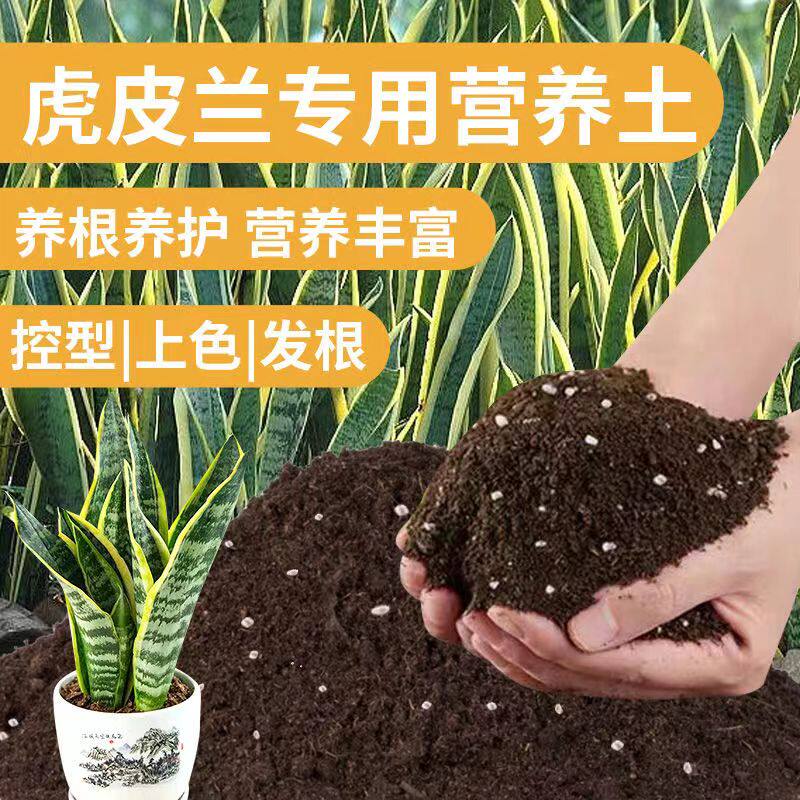 虎皮兰专用营养土虎皮兰专用土有机肥透气种植土壤虎皮兰盆栽泥土