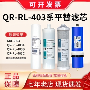 点洲滤芯适配沁园净水器通用RL 403a全套403c复合炭KRL3863净水机