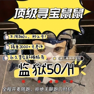 三角洲寻宝鼠端游手游护航摸金大红三角洲行动陪练海洋之泪导盲犬