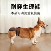 宠物卫生裤 金毛萨摩耶母狗生理裤 魔术贴 月经裤 耐咬 狗狗安全裤