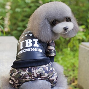 新款宠物狗狗衣服迷彩加厚棉衣秋冬装贵宾泰迪中小型犬圆领四脚衣
