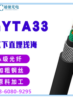 重铠防鼠光纤4/8/12/16/36/48/96/144芯直埋水下光缆GYTA33-24B1