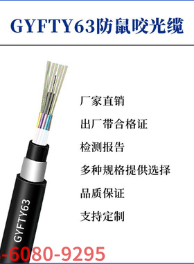 GYFTZY63-24B1防雷防鼠咬光纤线48B1/36B1/12B1非金属阻燃光缆线