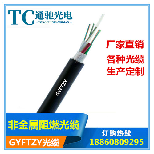 GYFTZY-24B1g652无金属导引光缆