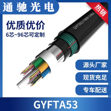 GYFTA53-12B1双铠双护直埋光缆SZ48B1 36B1 24B1 96B1 72芯光纤线