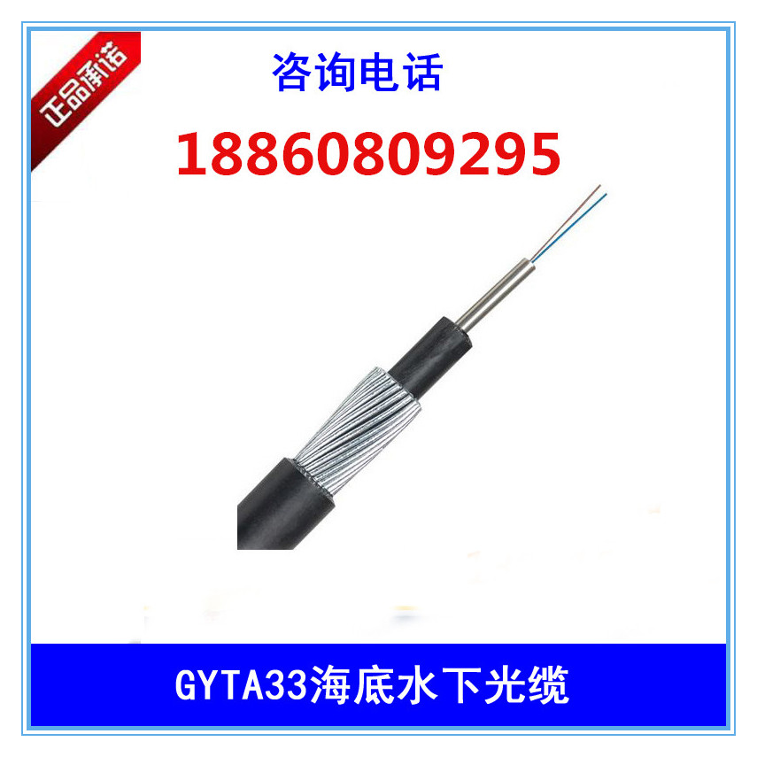 GYTA33-12b1室外防鼠光纤4/8/24/48/96芯钢丝重铠装水下直埋光缆 - 实物图