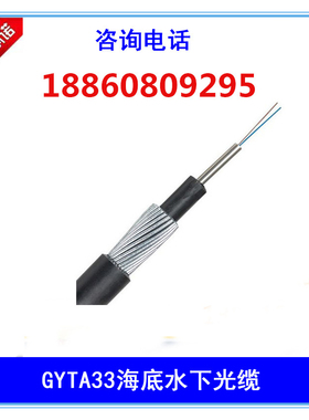 GYTA33-12b1室外防鼠光纤4/8/24/48/96芯钢丝重铠装水下直埋光缆